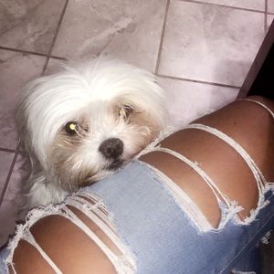 Meet your Posher, Yoselin